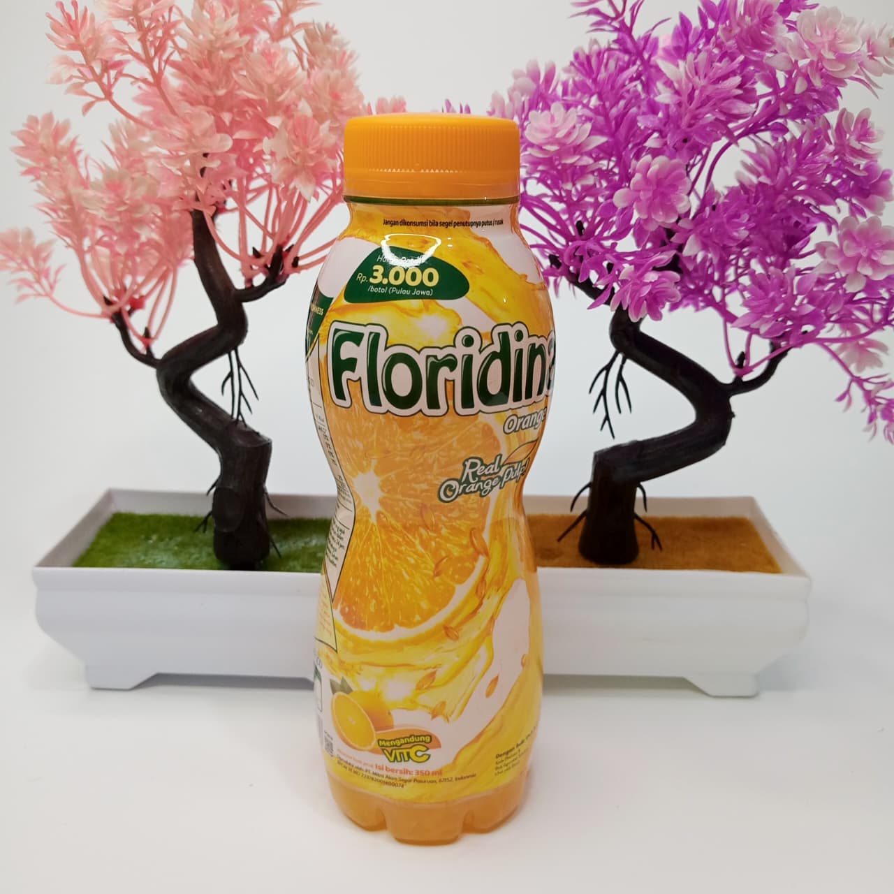 FLORIDINA ORANGE PULP